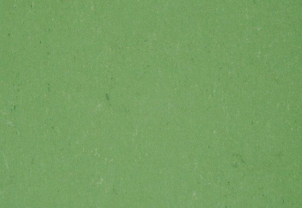 Gerflor DLW COLORETTE NEOCARE™ - 0006 Vivid Green Linoleum Bahnware 2,5 mm