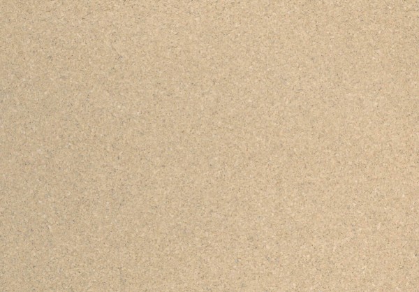 Earth Tones Sand