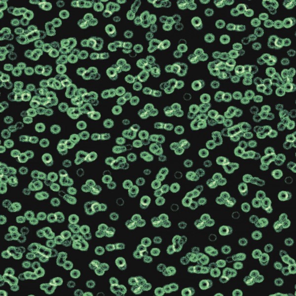 Forbo Flotex Sottsass Designkollektion - Bacteria 990102