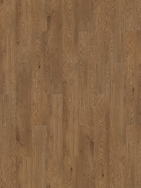 Forbo Allura Dryback | Wood 0,55 | 60068DR5 amber elegant oak | 120 x 20 cm