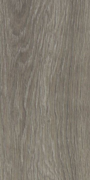 Forbo Allura Dryback | Wood 0,55 mm | 60280DR5 grey giant oak | 180 x 32 cm