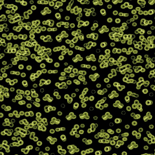 Forbo Flotex Sottsass Designkollektion - Bacteria 990103