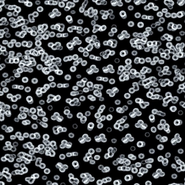 Forbo Flotex Sottsass Designkollektion - Bacteria 990106