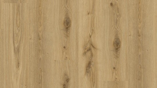 Primary Oak-Natural 120 