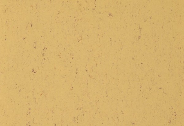 Gerflor DLW COLORETTE NEOCARE™ - 0073 Sand Yellow Linoleum Bahnware 2,5 mm