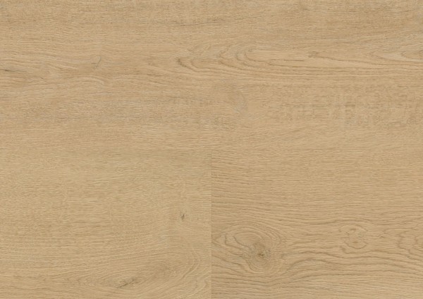 wineo 400 wood L - DB281WL Plain Oak Beige