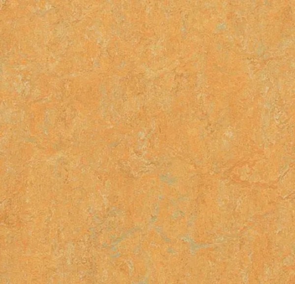 Forbo Marmoleum real - 3847 golden saffron Linoleum Bahnware 2,0 mm