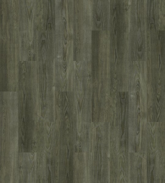 Forbo Allura Dryback | Wood 0,7 | 63664DR7 sage ash | 75 x 15 cm