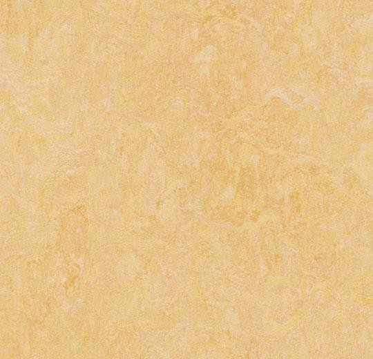 Forbo Marmoleum fresco - 3846 natural corn Linoleum Bahnware 2,0 mm