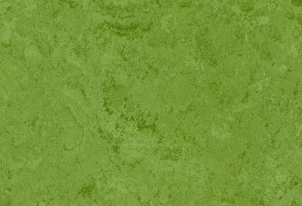 Gerflor DLW Linodur 4 mm - 1011 Avocado Green Linoleum Bahnware