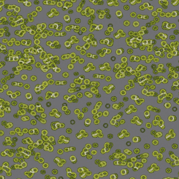 Forbo Flotex Sottsass Designkollektion - Bacteria 990302