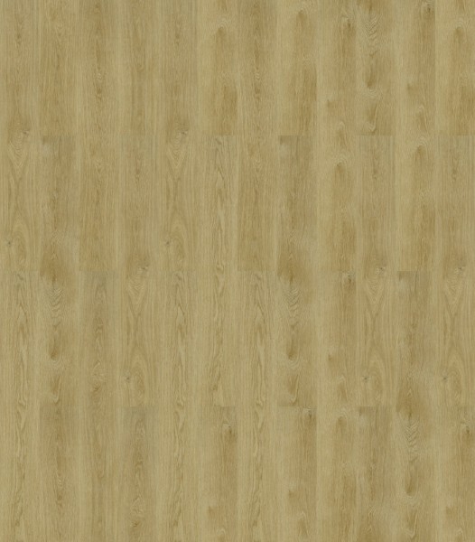 Forbo Enduro Dryback | 69101DR3 pure oak | Designplanken - SALE