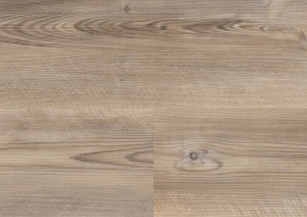 wineo 400 wood L - DB284WL Coast Pine Taupe